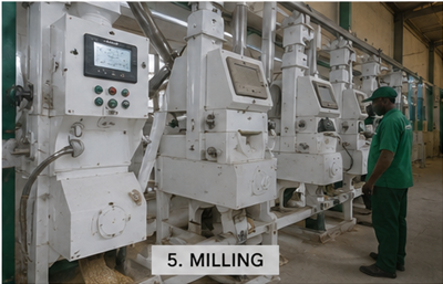 Step 5 — milling the dried rice