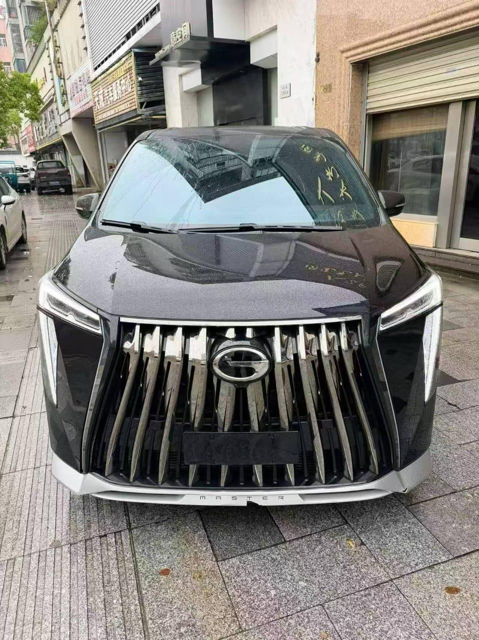 Luxury MPV, front grille detail